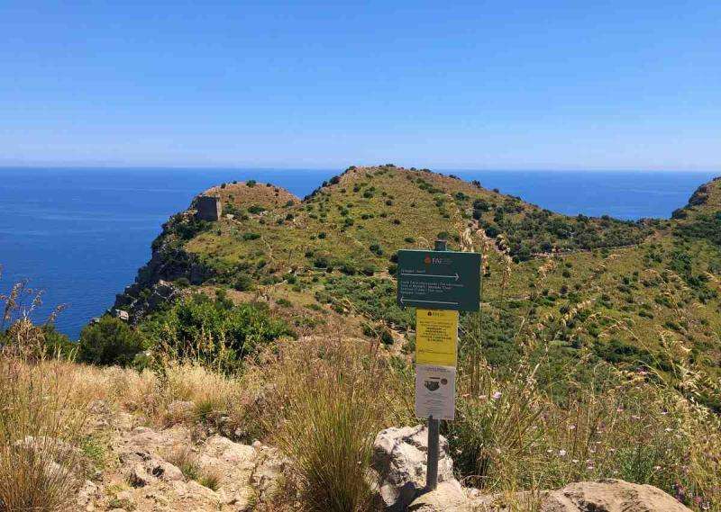 Bay of Ieranto Hiking Tour - Imagen 2