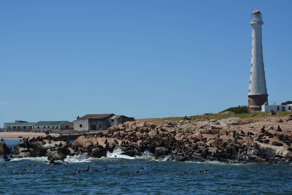City tour completo en Punta del Este - Imagen 3