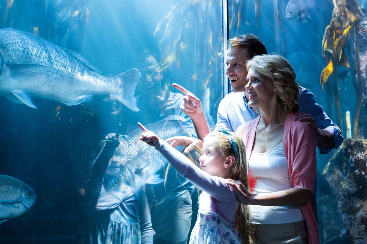 Go City Chicago All-Inclusive Pass - Imagen 2