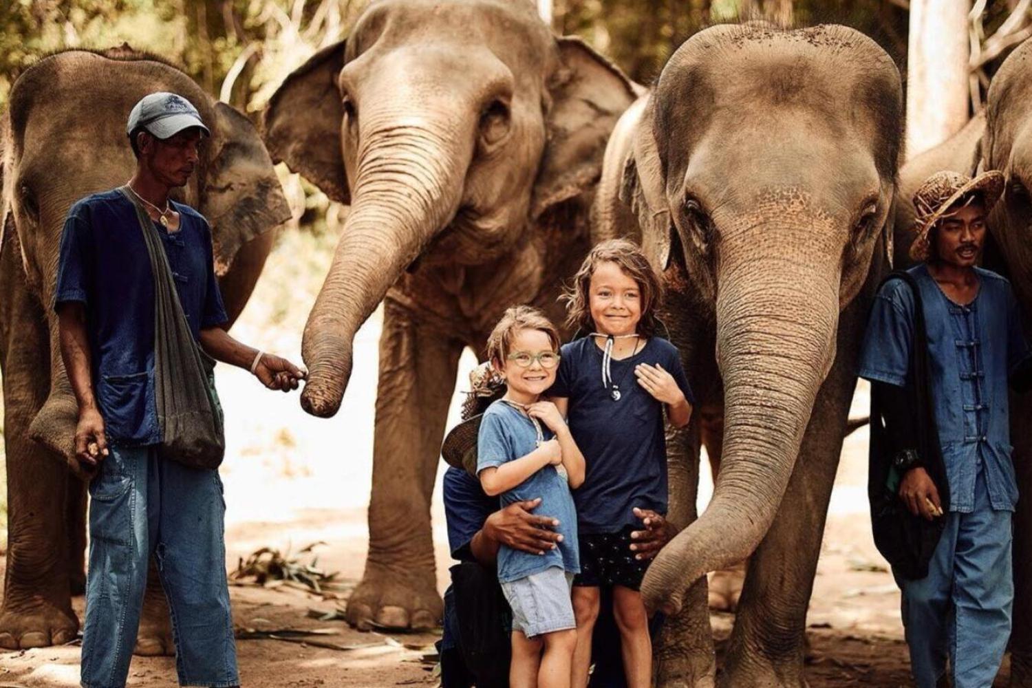 Ethic Elephant Sanctuary - Imagen 4