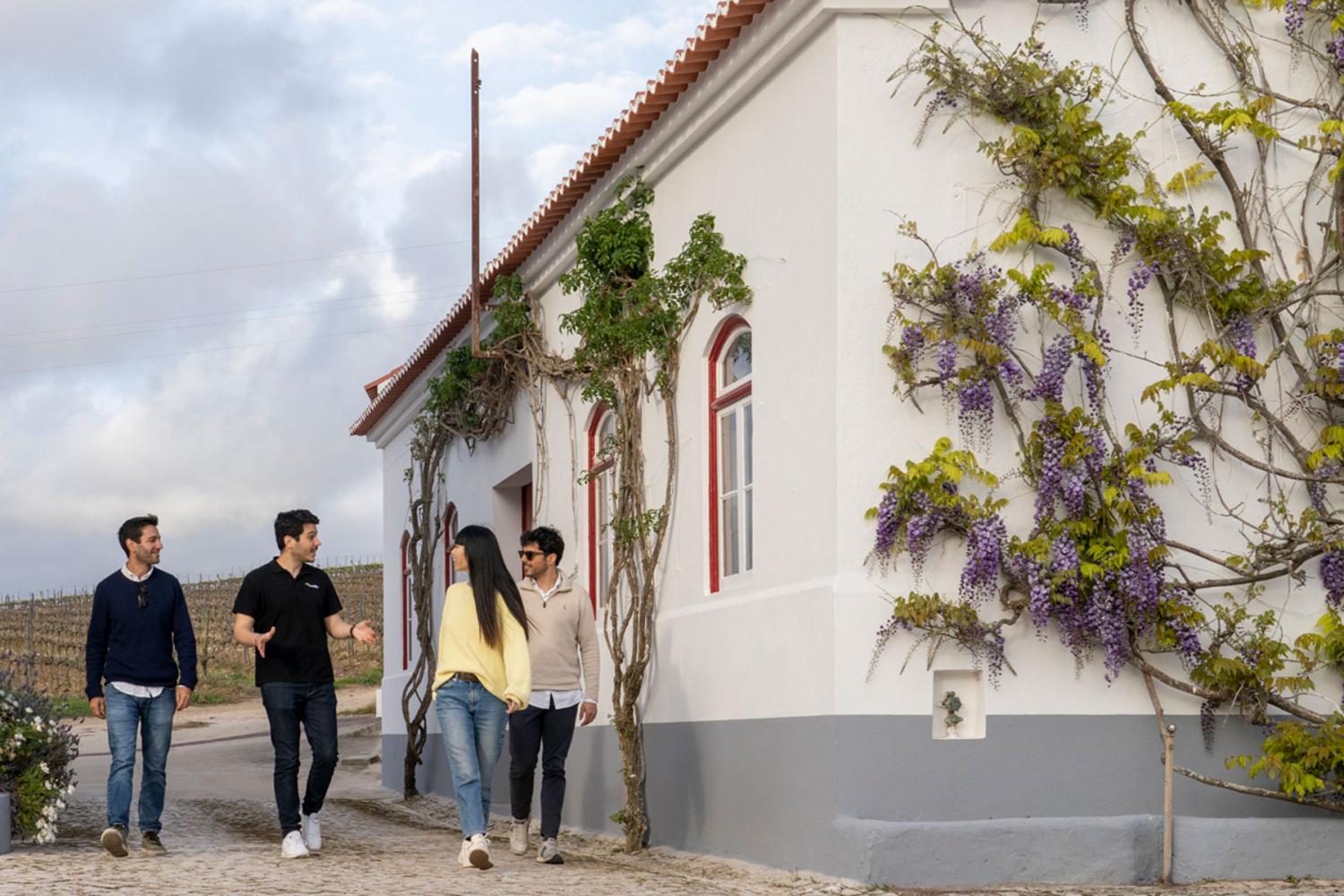 Sintra with Pena Palace and Winery - Imagen 4