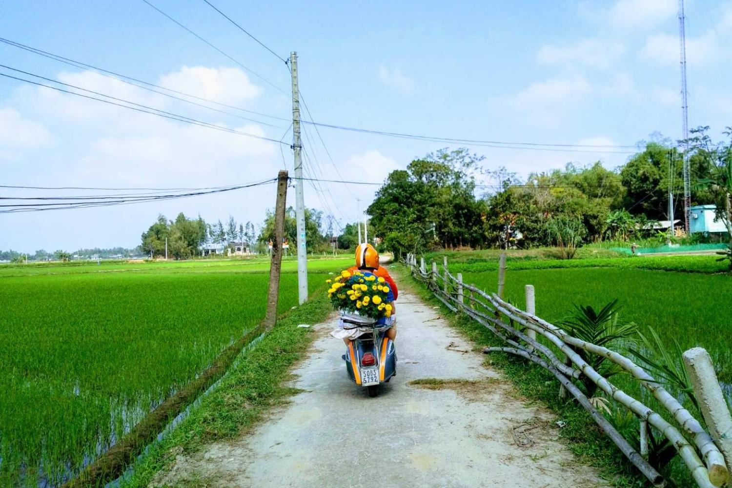 Campo de Hanoi en Vespa: grupo reducido - Imagen 4