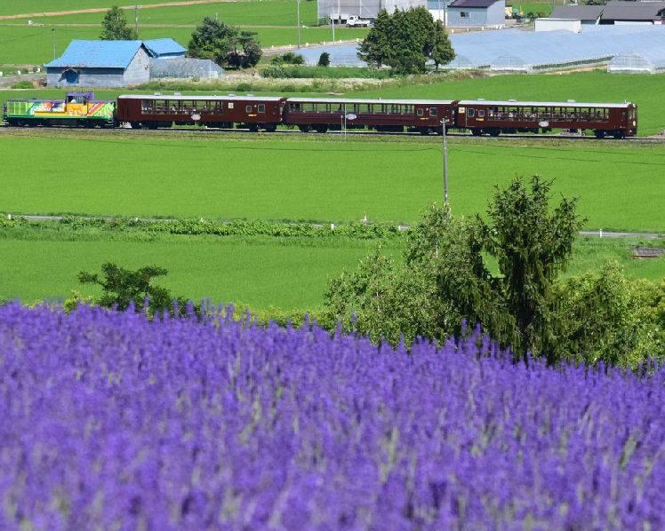 Pase de tren de Hokkaido - Imagen 3