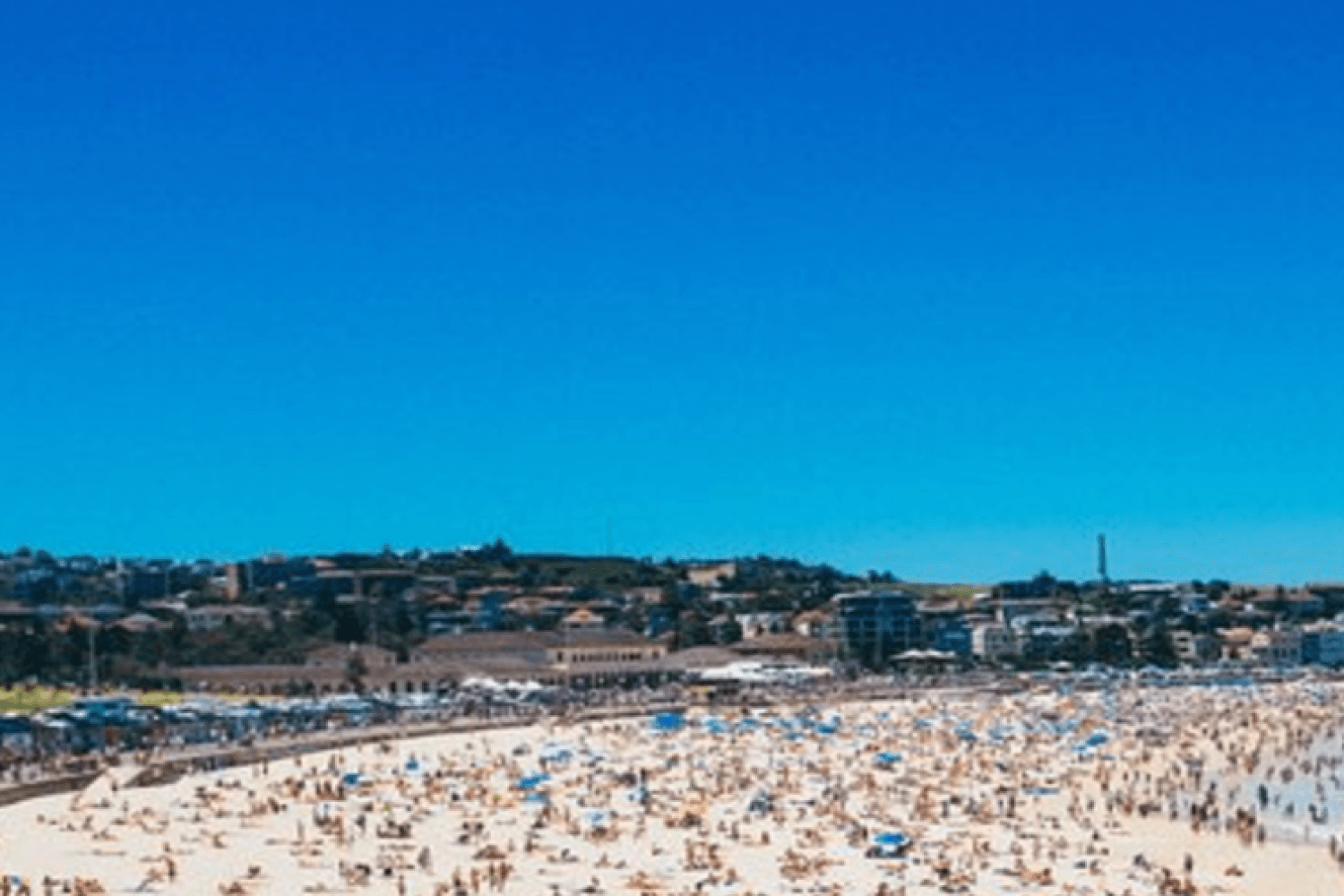 Sídney: ciudad, puerto y playa de Bondi - Imagen 2
