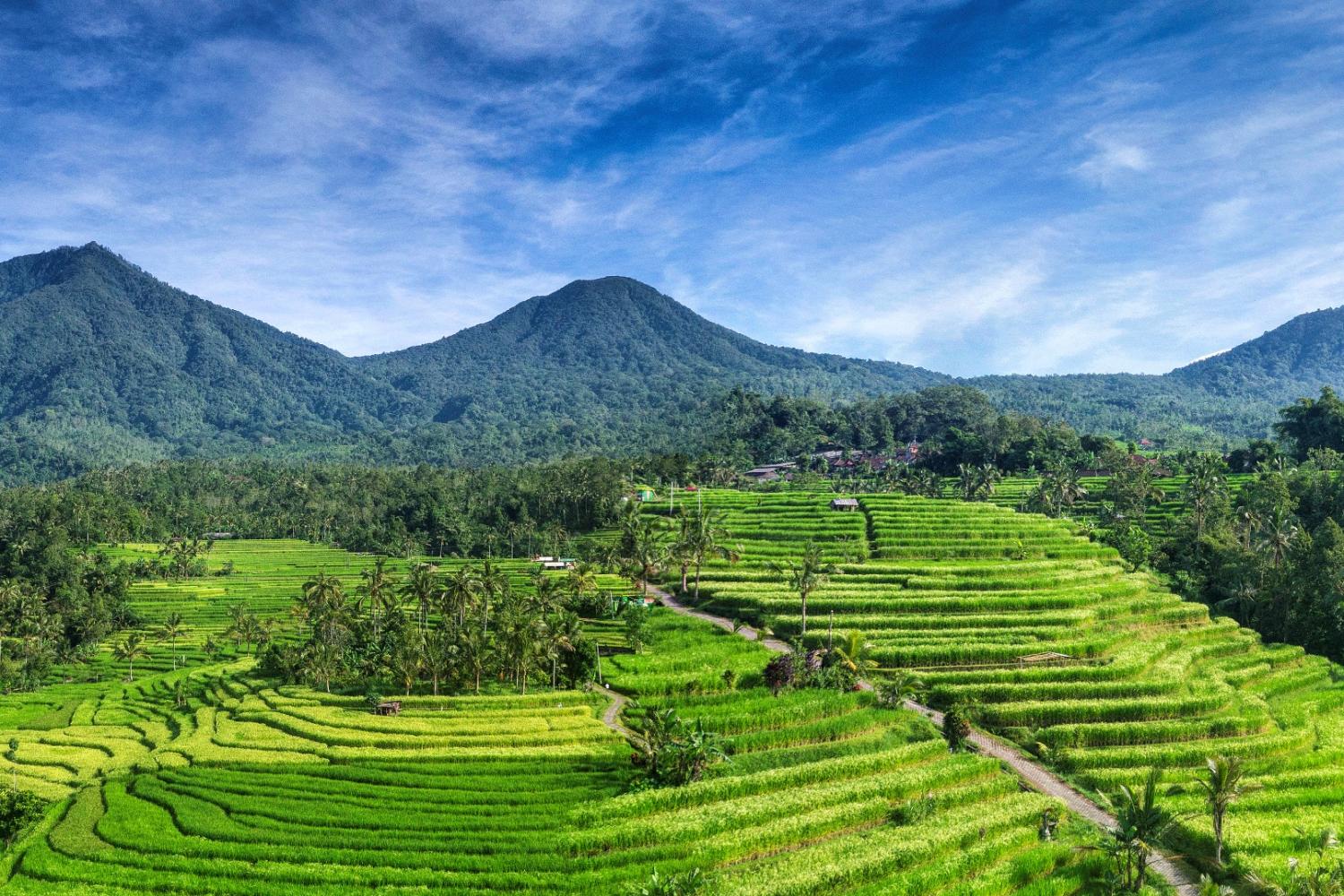 Ubud oculto en bicicleta de montaña - Imagen 4