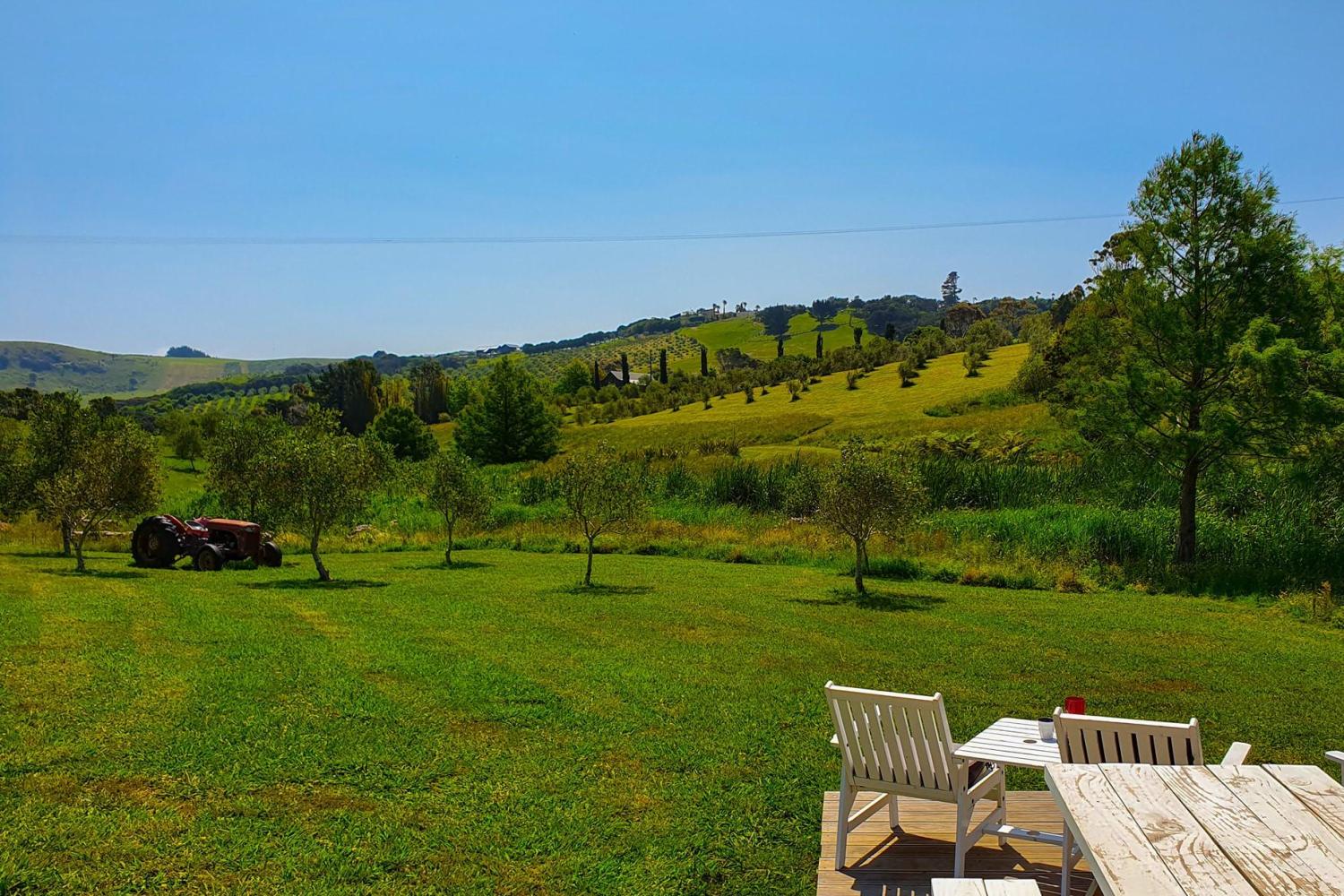 Isla Waiheke: comida y vino gourmet - Imagen 3