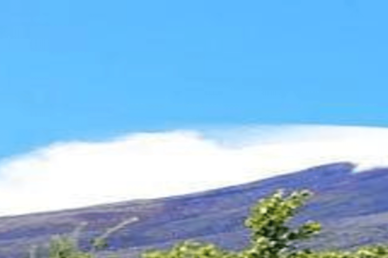 Tour en bus por el monte Fuji y Hakone - Imagen 2
