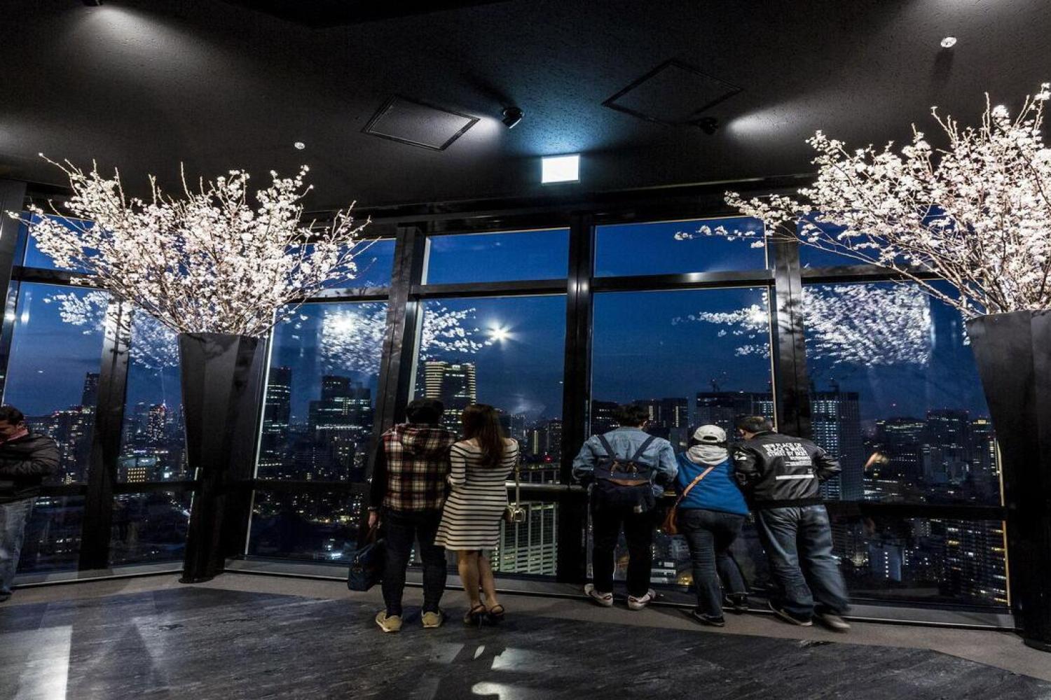 Tokyo Tower Observatory Admission Ticket - Imagen 2