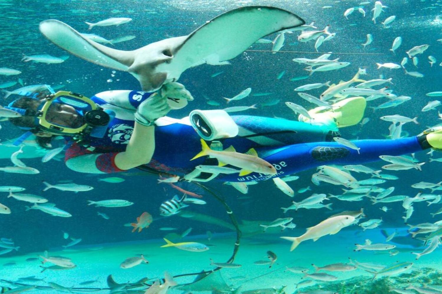 Sunshine Aquarium - Imagen 2