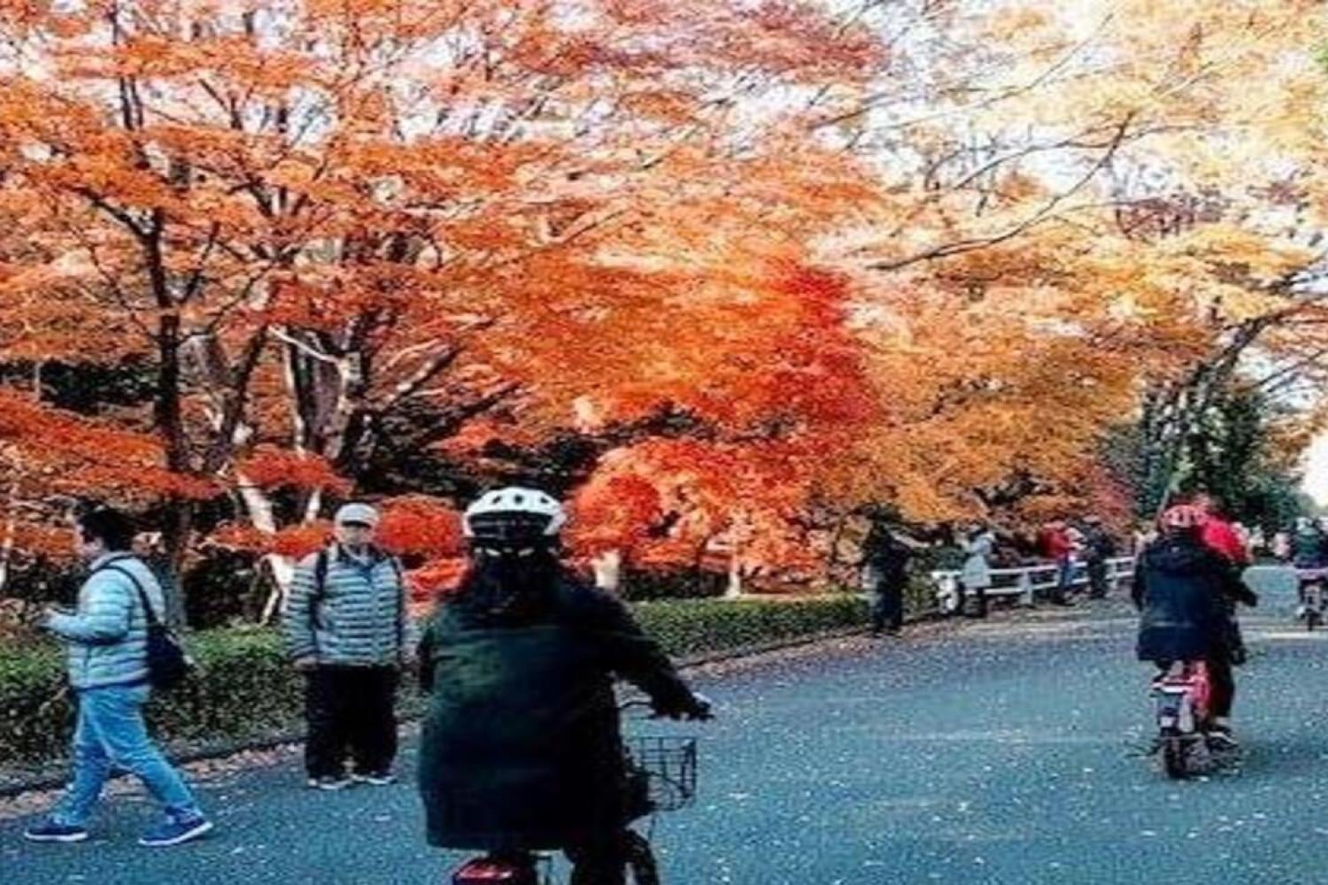 Tokyo Cycling Tour by Electric Powered Bike - Imagen 2