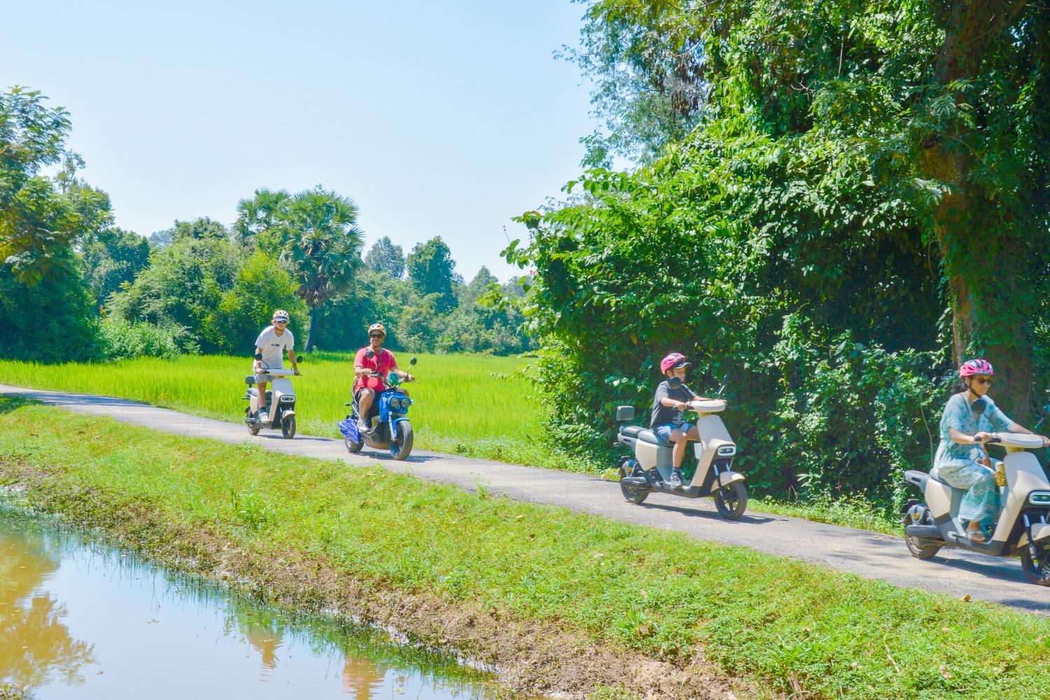 Bicicleta eléctrica por el campo - Imagen 2