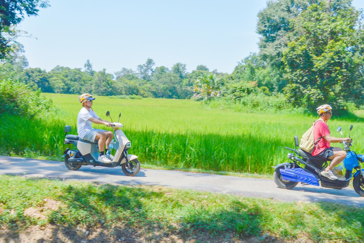 Bicicleta eléctrica por el campo - Imagen 3