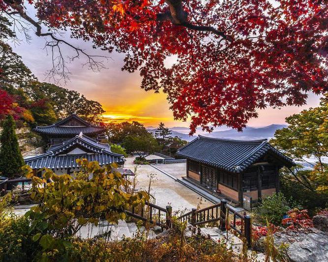 Seúl: Gyeongbokgung, Torre N y Namsangol - Imagen 4