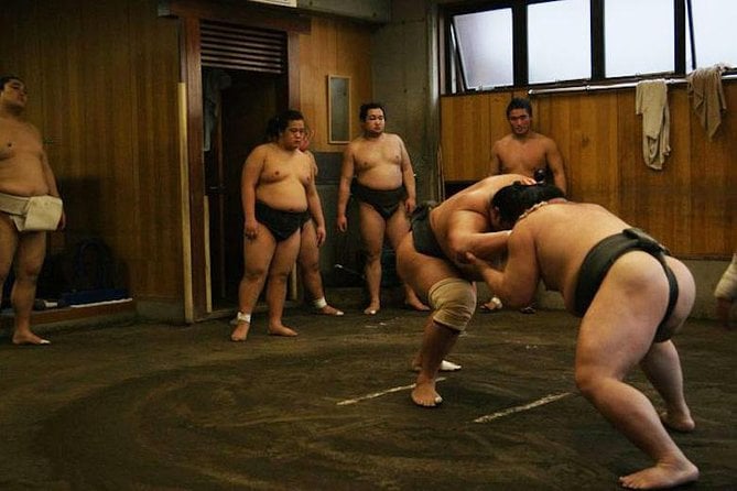 Sumo: entrenamiento en grupo pequeño - Imagen 3