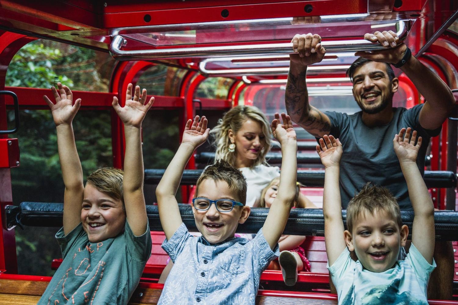 Scenic World: pase Ultimate Discovery - Imagen 2