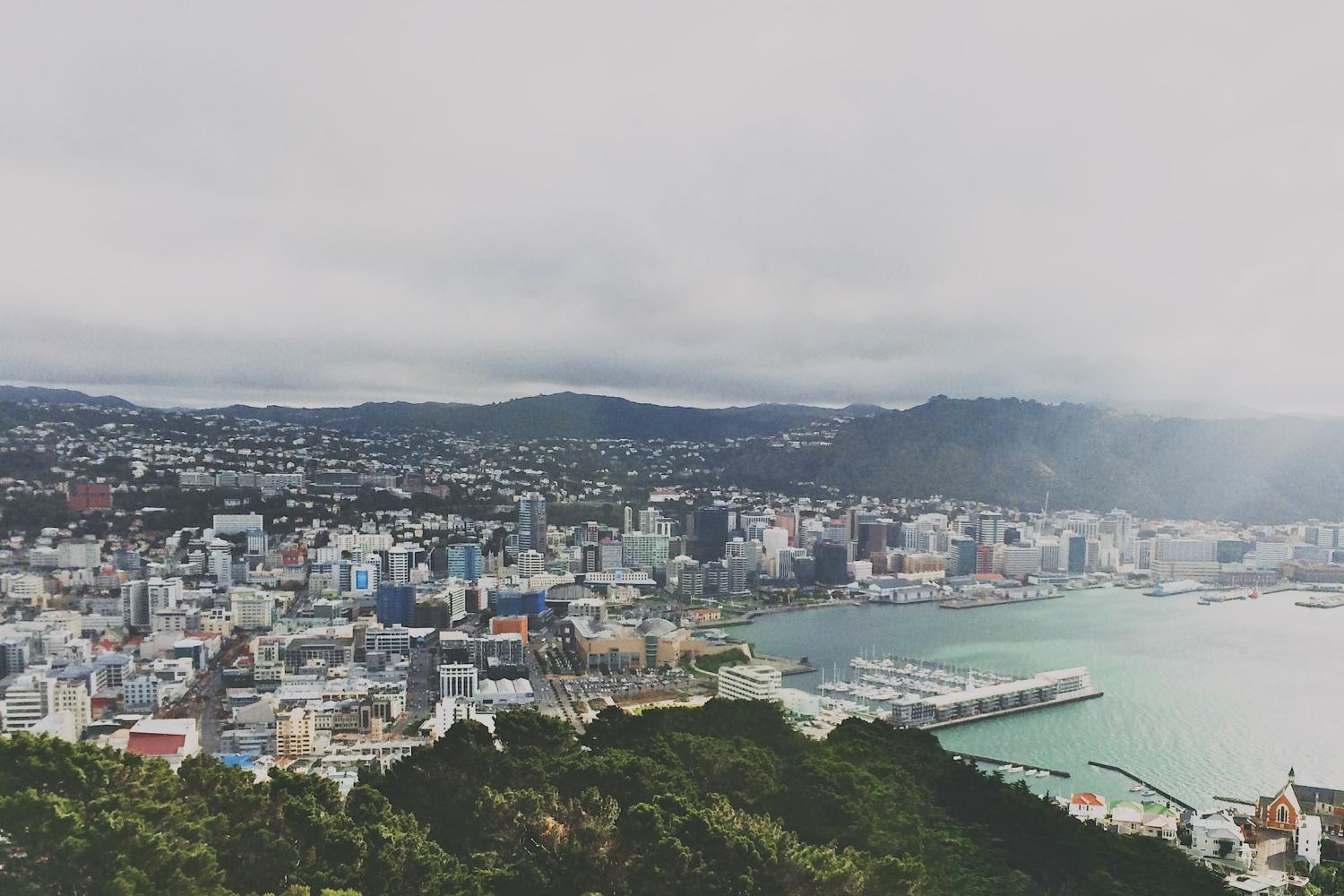 Excursão de dia inteiro a Wellington - Imagen 2