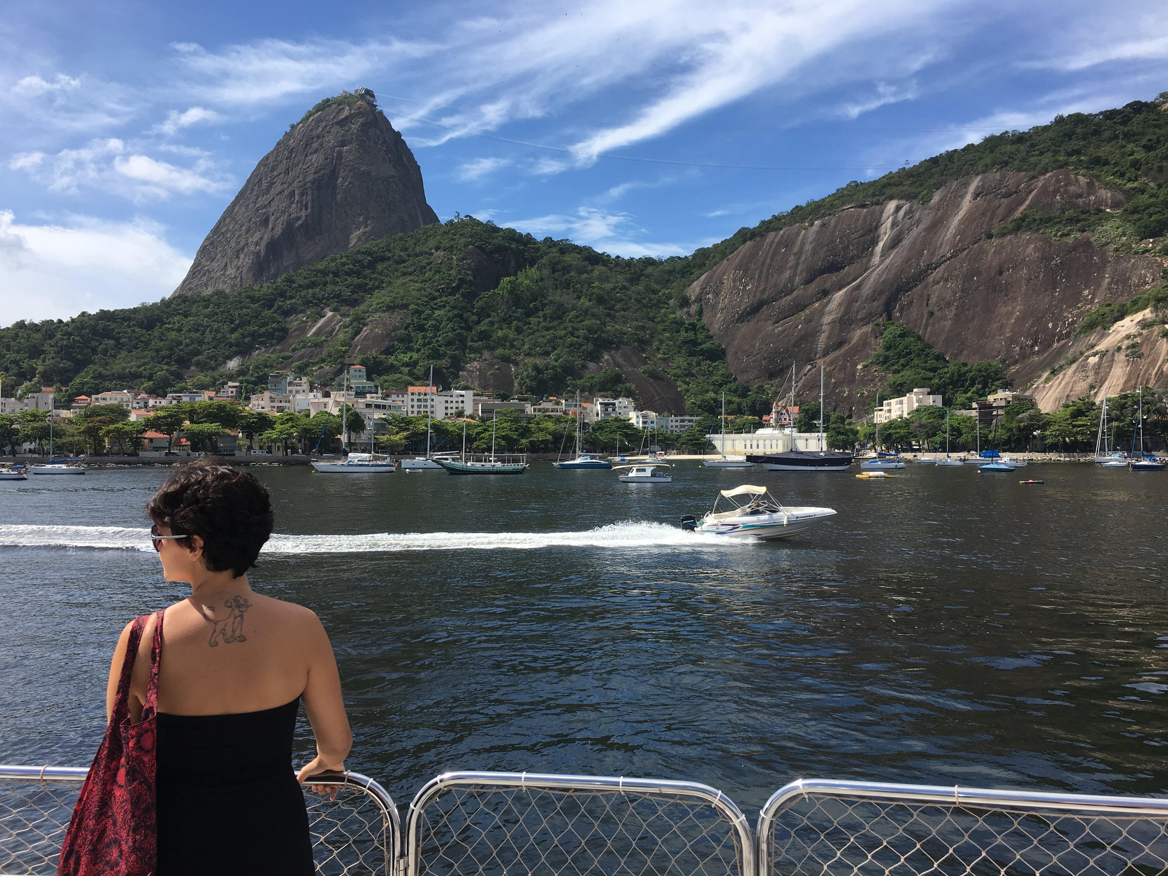 Guanabara, Christ, Selaron & Sugar Loaf - Imagen 3