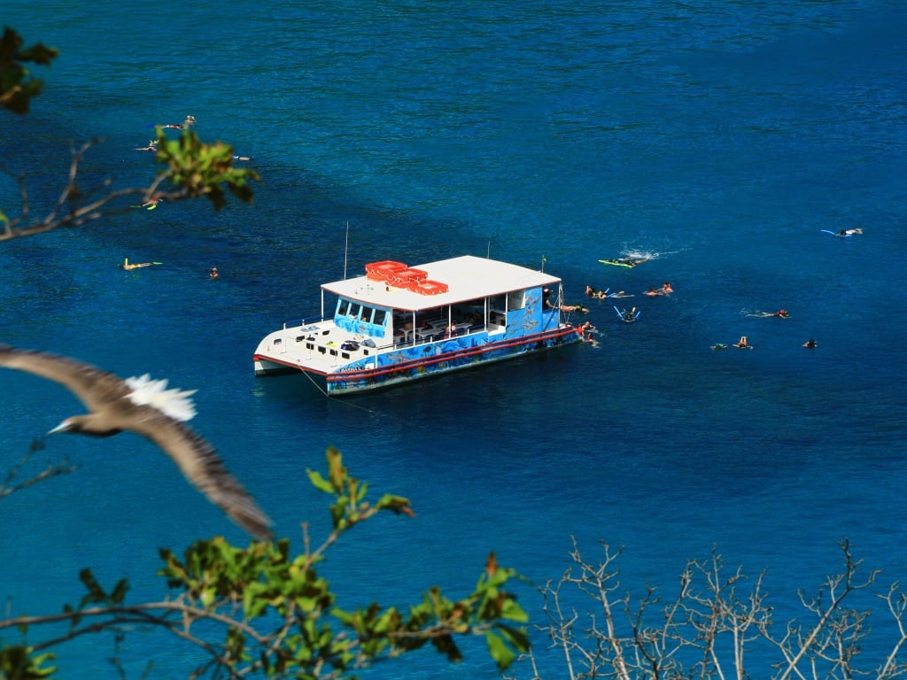 Barco por Noronha y Bahía del Sancho - Imagen 2