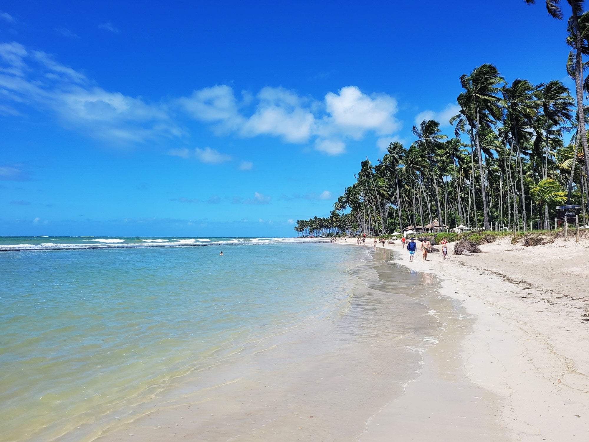 Tour de un día a la playa de Carneiros - Imagen 2