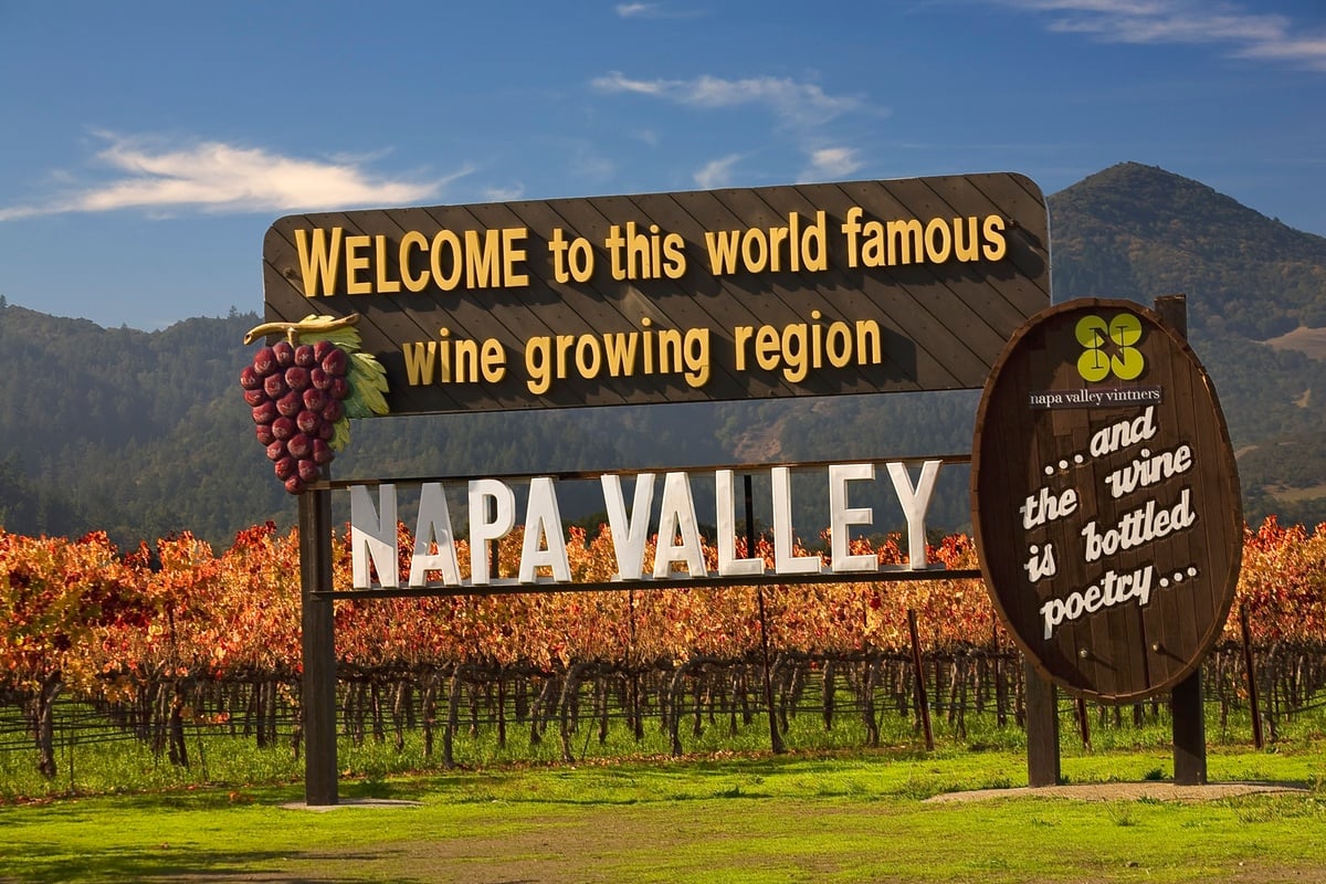Napa y Sonoma - Tour de Viñedos - Imagen 3