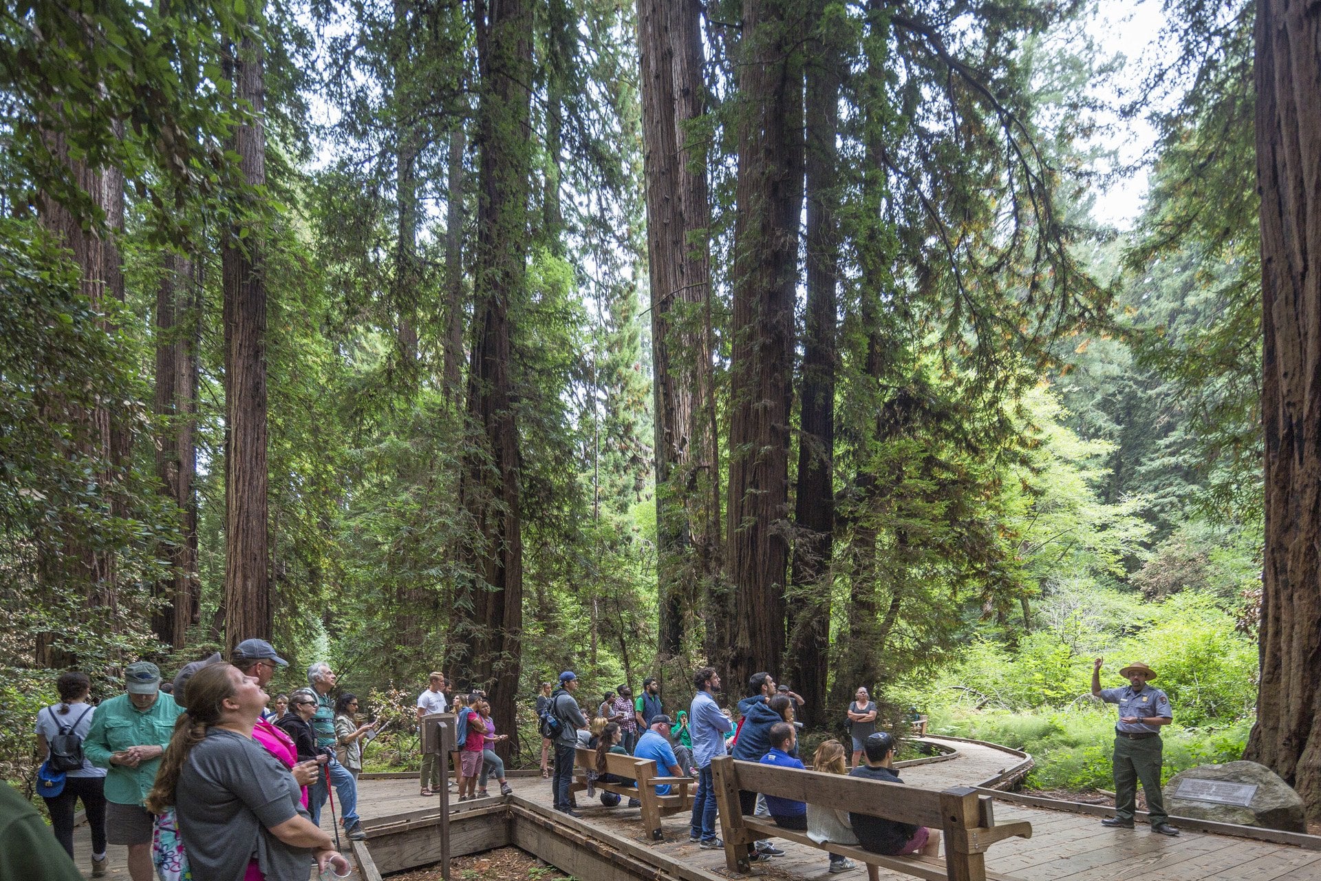 Muir Woods y Sausalito con crucero - Imagen 4