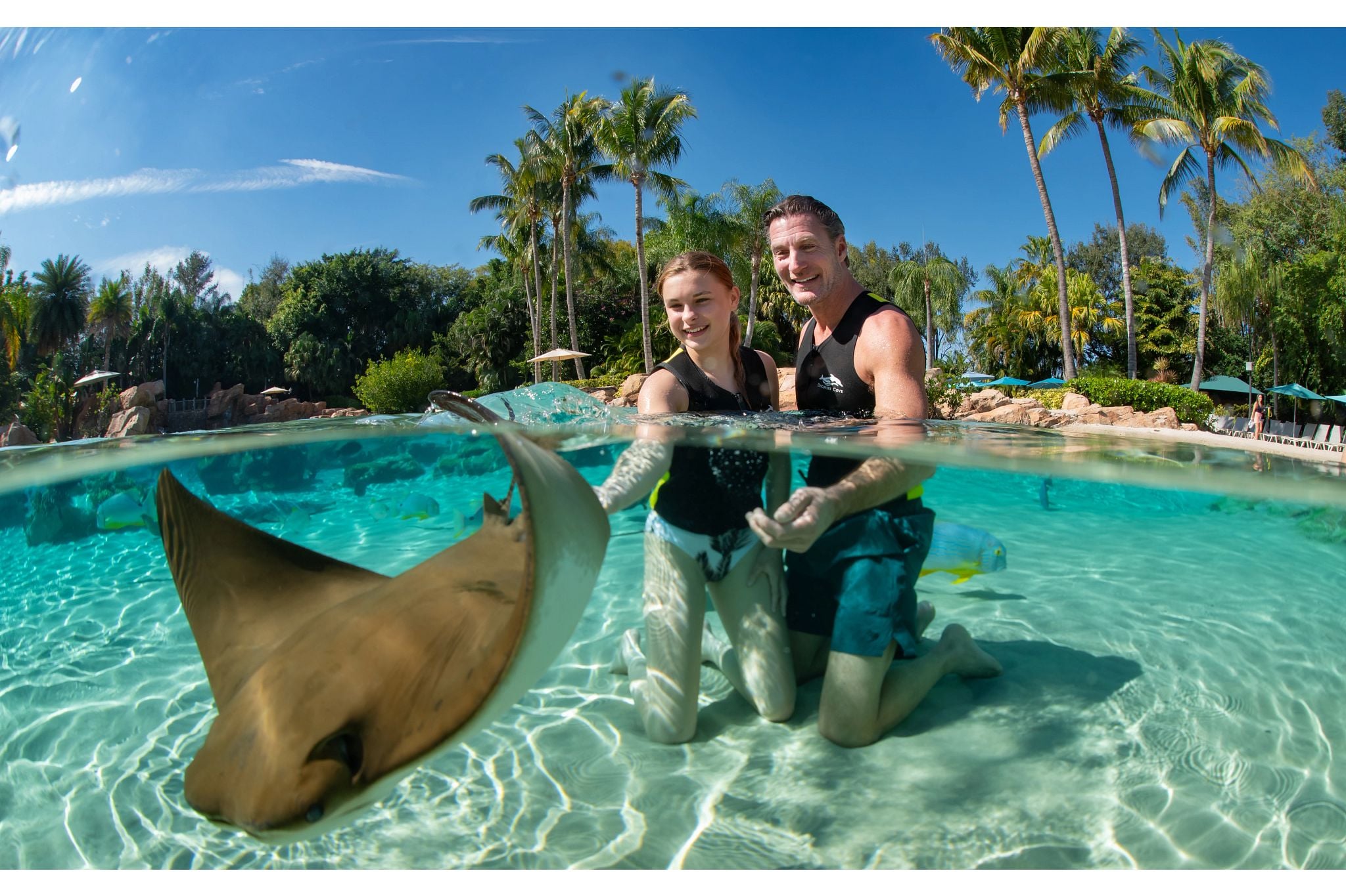 Discovery Cove Orlando Day Resort Package - Imagen 2