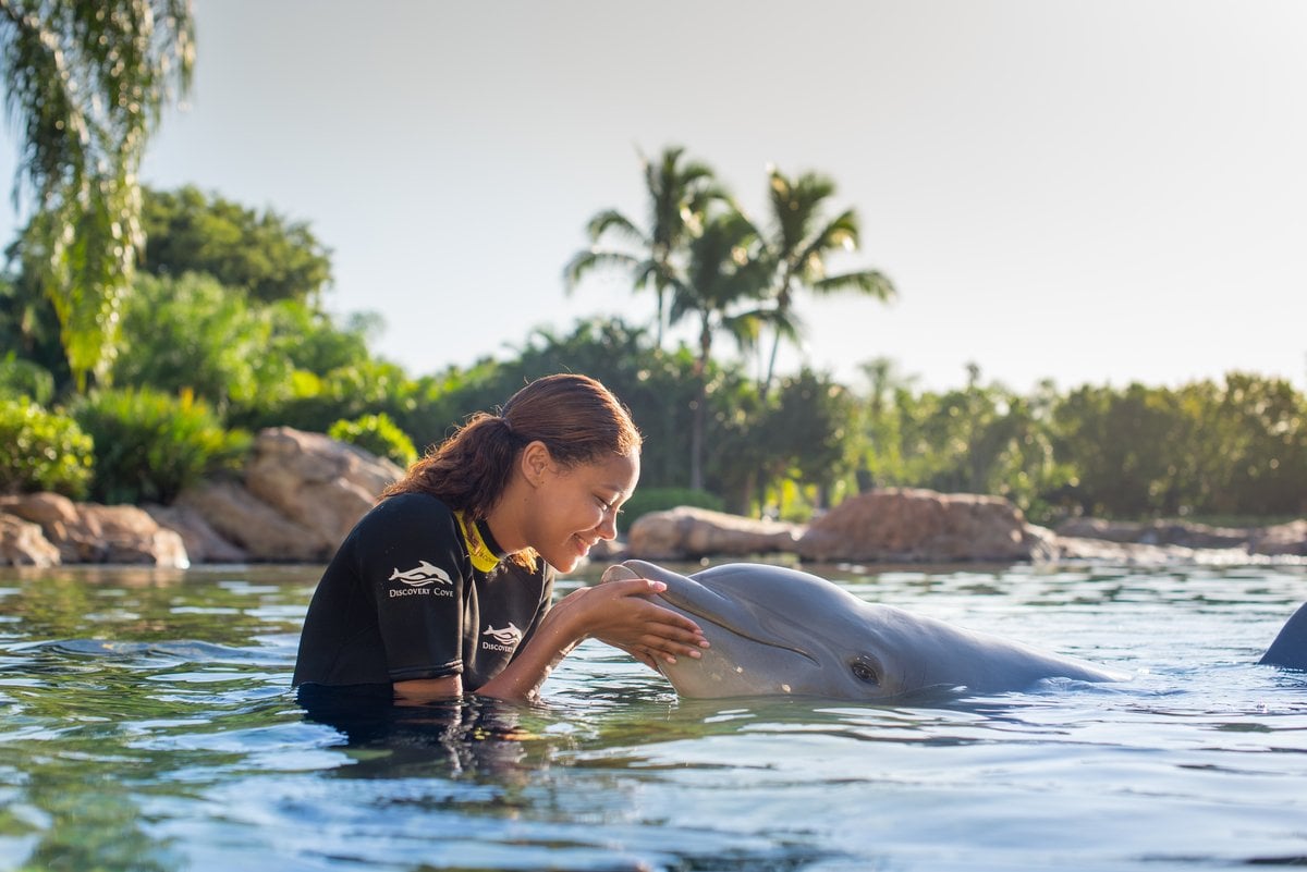 Discovery Cove Orlando Day Resort Package - Imagen 1
