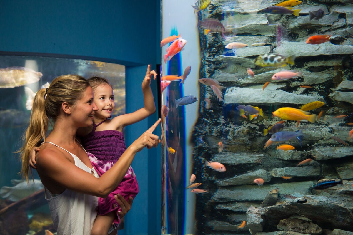 Go City Cancún All Inclusive Pass - Imagen 2
