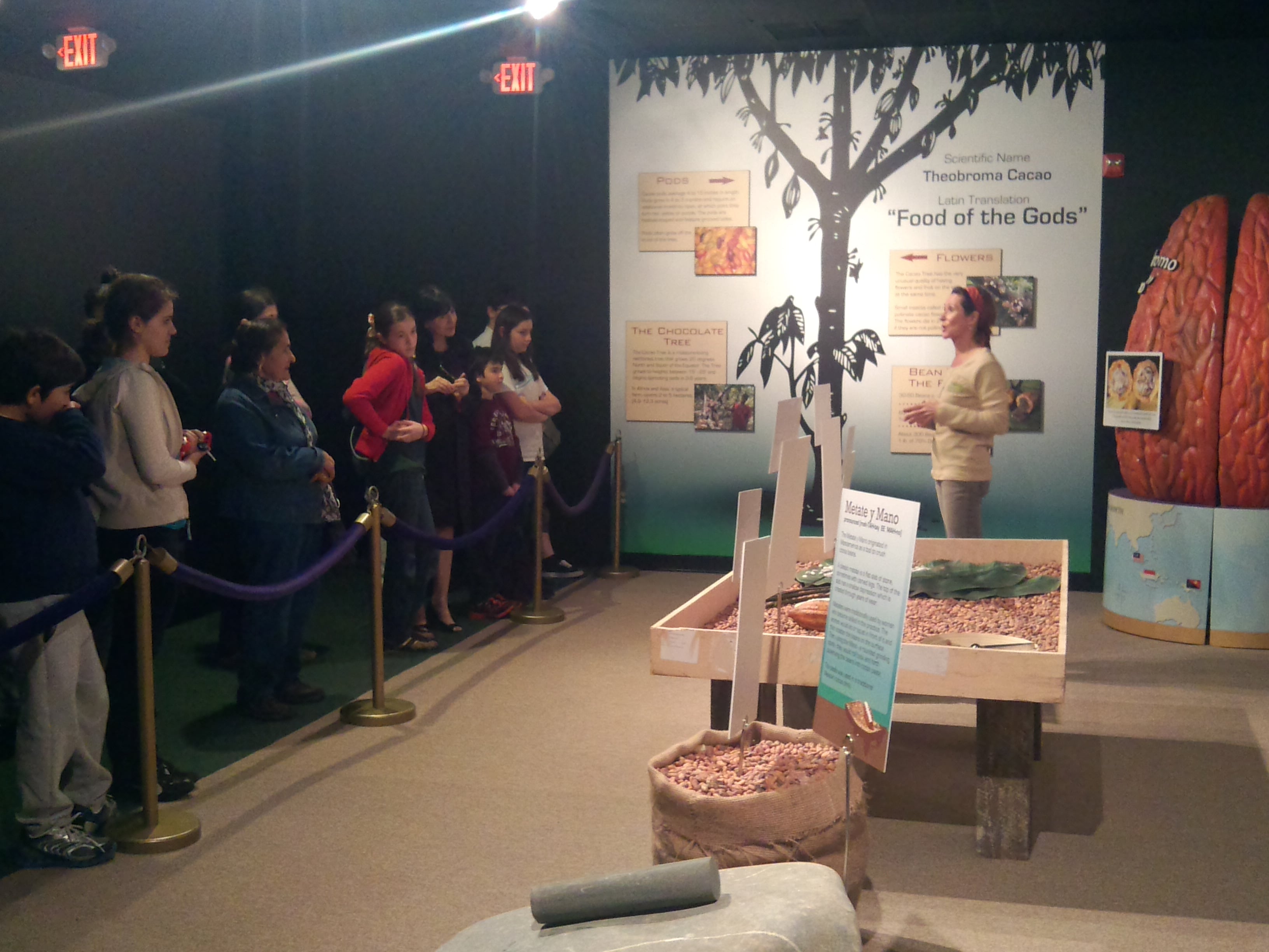 Chocolate Kingdom Factory Tour - Imagen 4