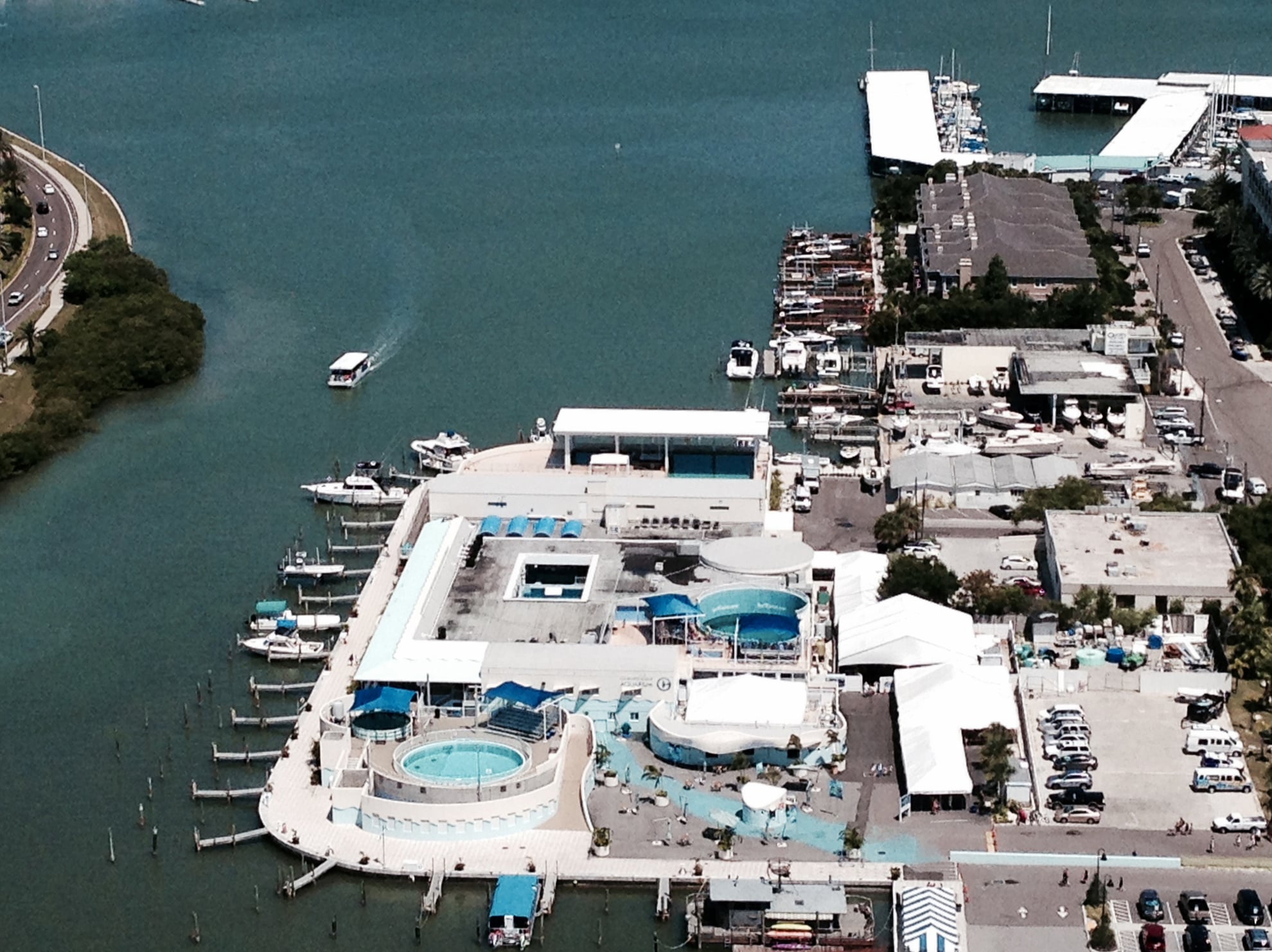 Clearwater Marine Aquarium Admission - Imagen 4