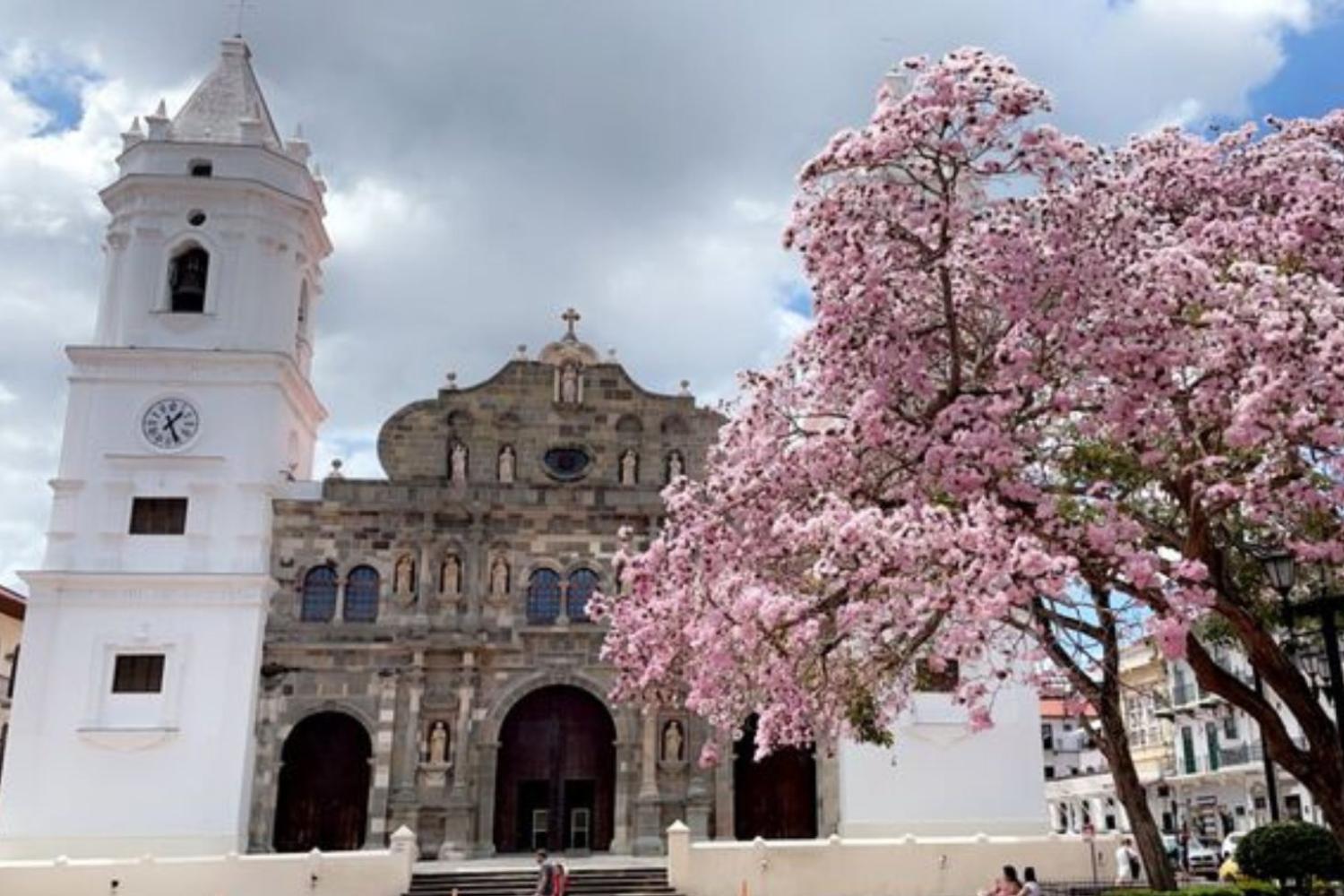 Recorrido por los canales de la ciudad - Imagen 4