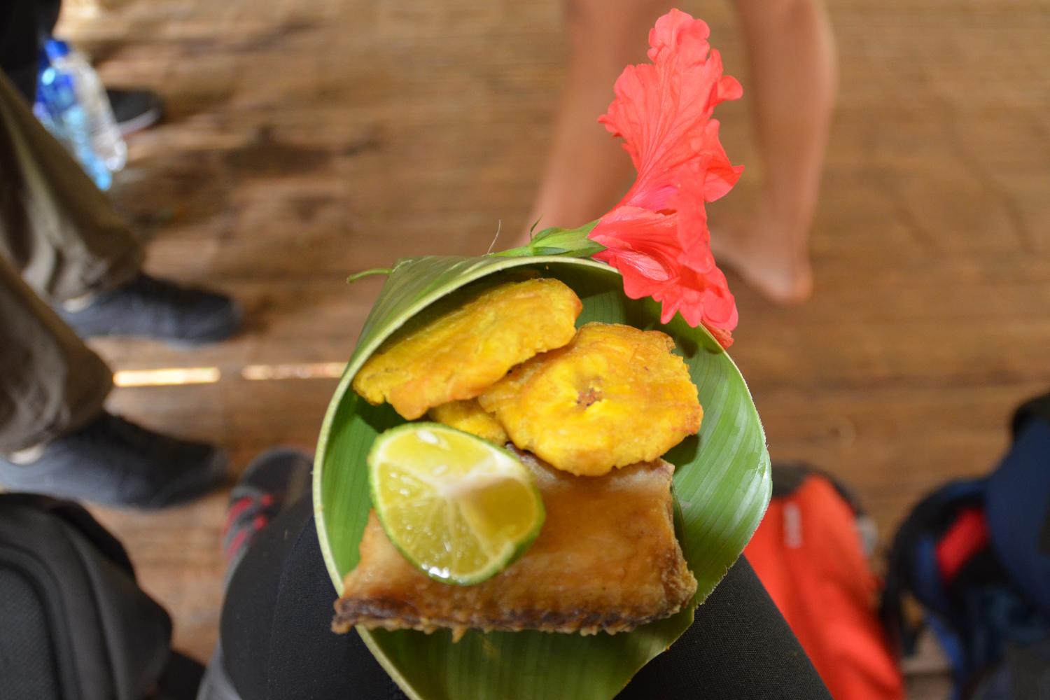 Cultura Emberá: canoa y cascadas - Imagen 4