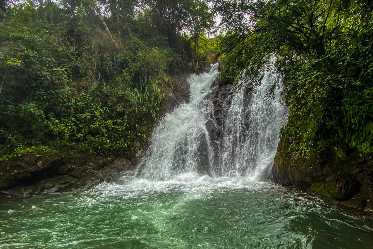 Aventura natural en Los Planes de Gualaca - Imagen 3