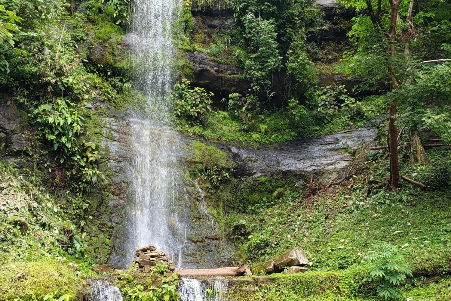 Aventura cultural y natural en Boquete - Imagen 2
