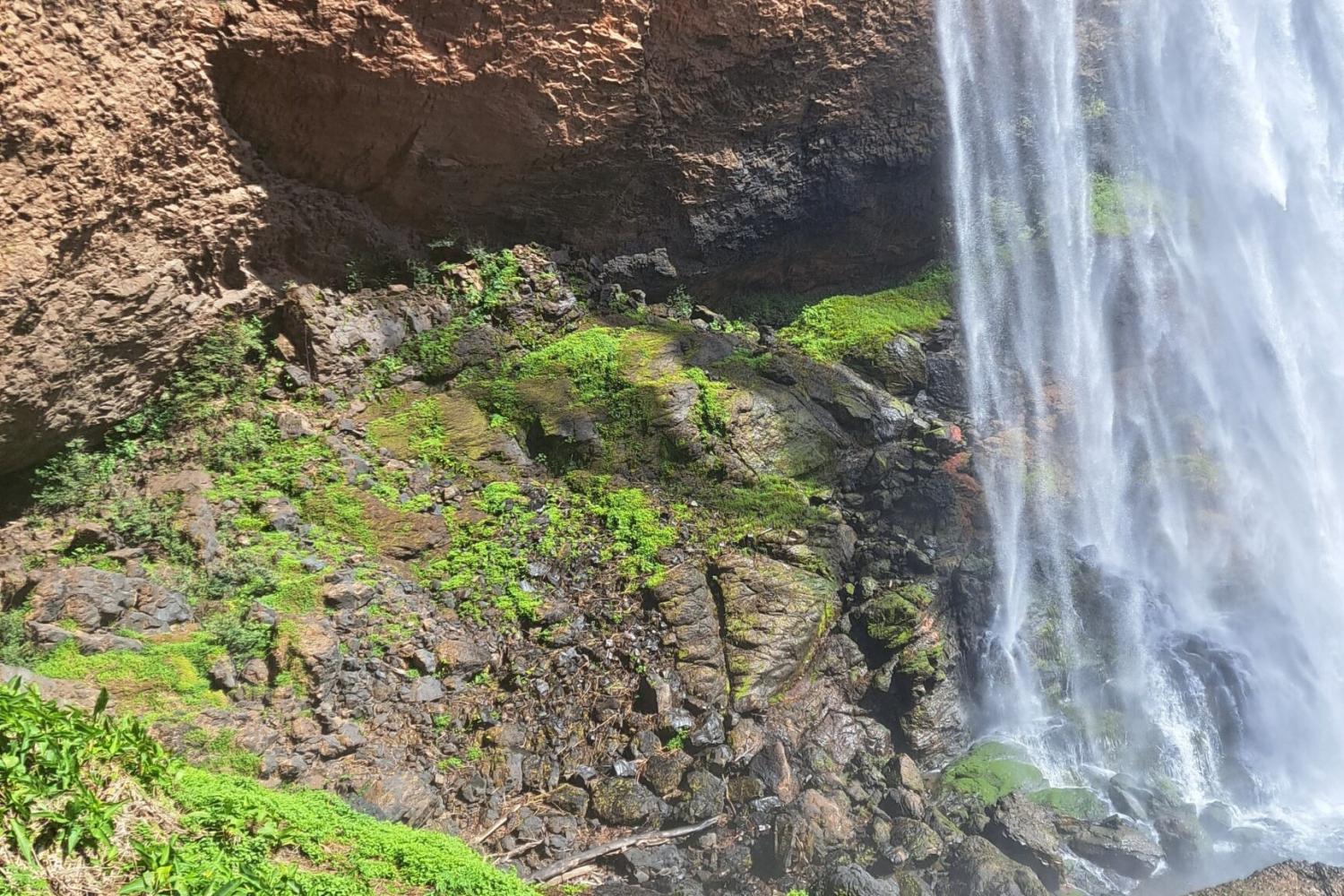 Aventura cultural y natural en Boquete - Imagen 3