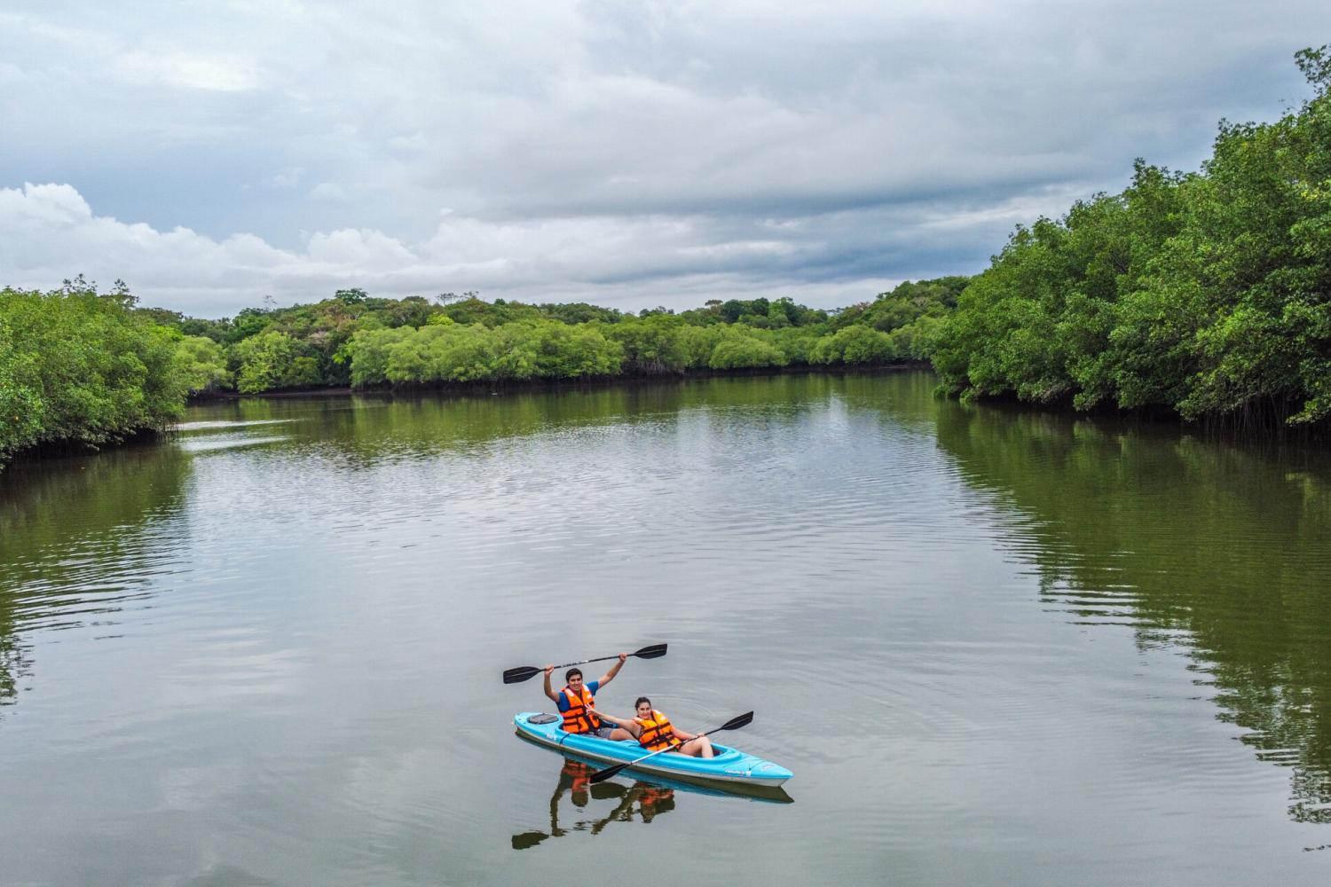 Kayak through Mangroves in Punta de Tierra - Imagen 2