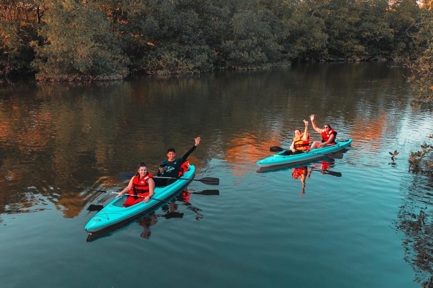 Kayak through Mangroves in Punta de Tierra - Imagen 4