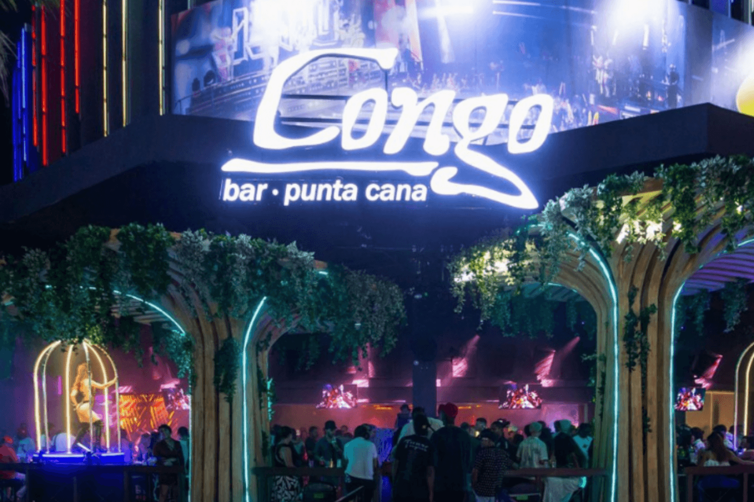 Rumba Punta Cana: bus discoteca y Hard Rock - Imagen 3