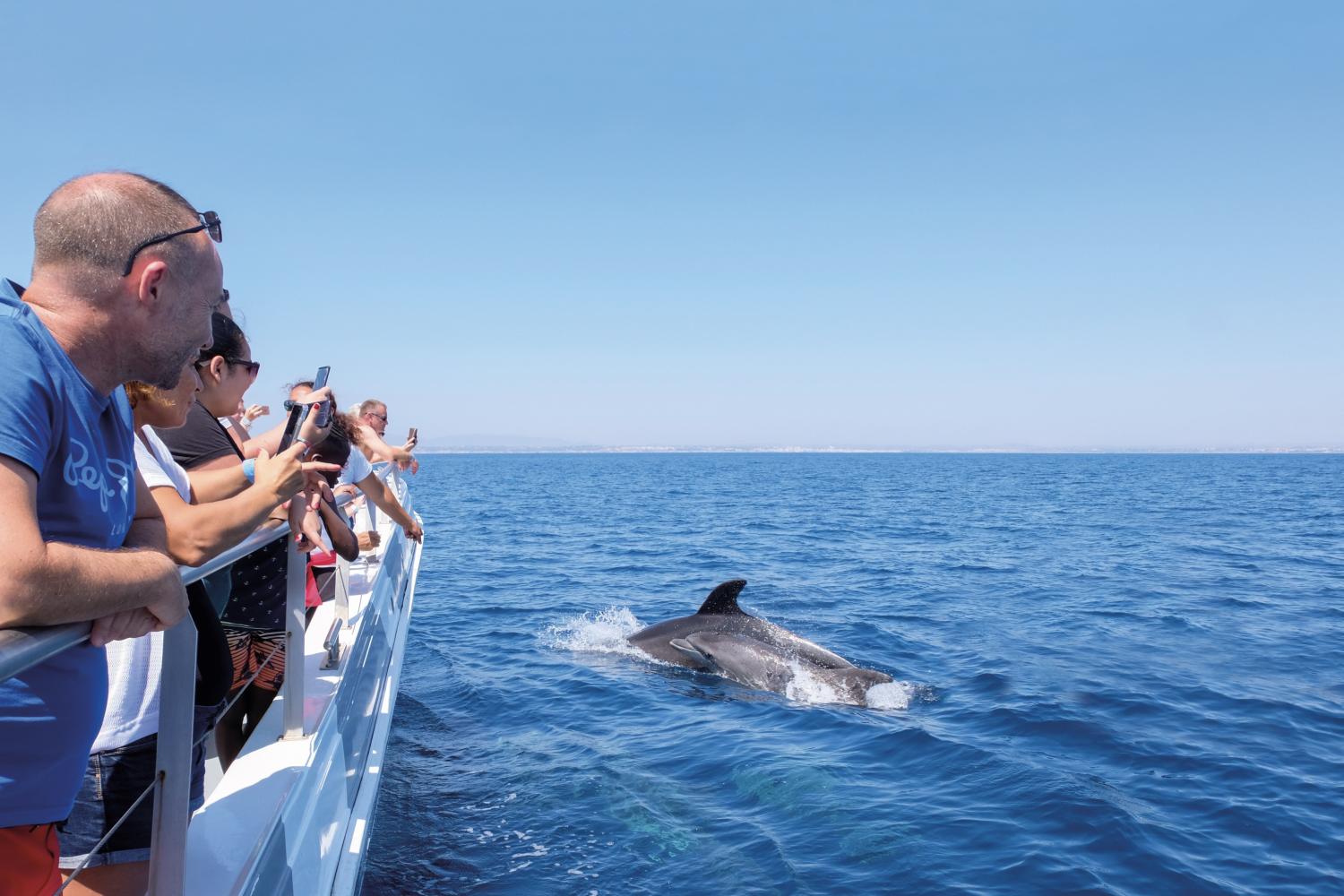 Dolphins & Benagil Catamaran Cruise - Imagen 2