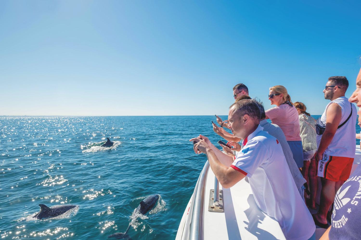 Dolphins & Benagil Catamaran Cruise - Imagen 4