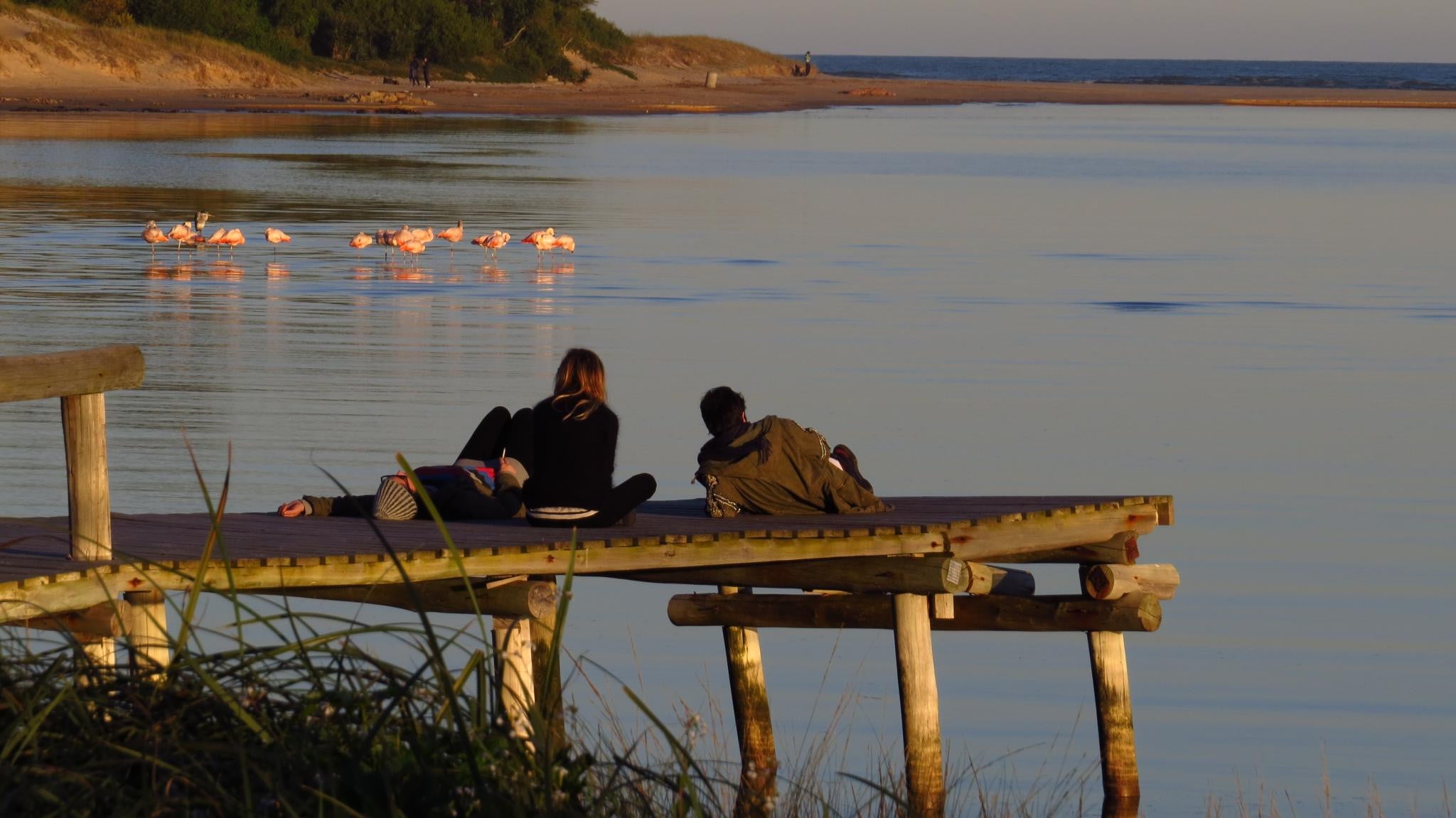 La Barra y José Ignacio - Imagen 2