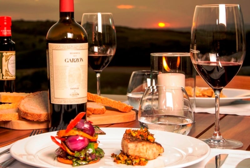 Experiencia Premium - Bodega Garzón - Imagen 2