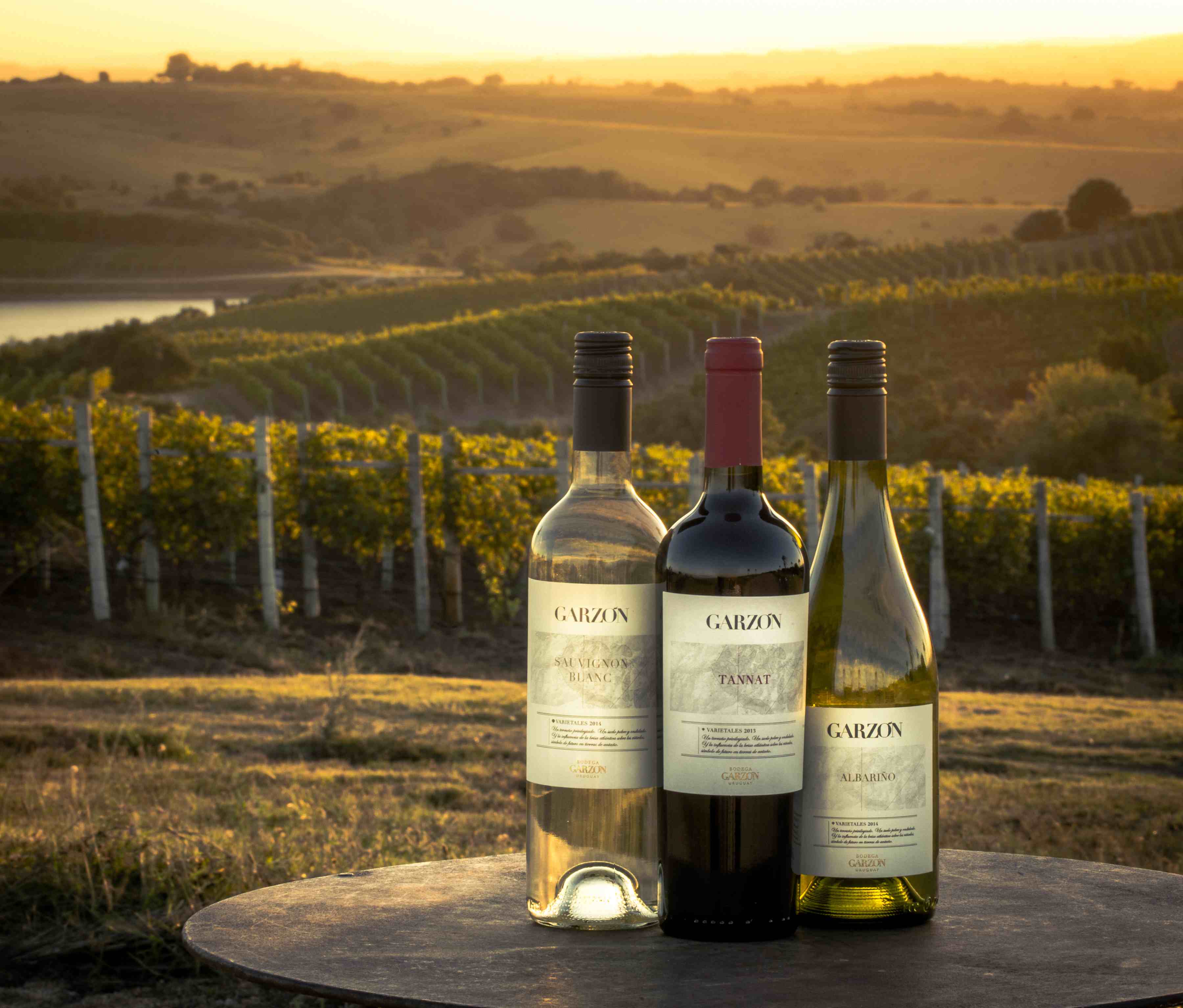 Experiencia Premium - Bodega Garzón - Imagen 4