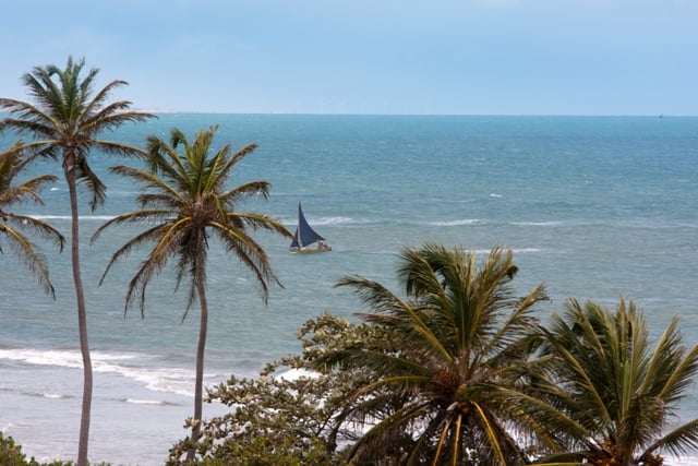 Excursión a la playa de Mundaú y Flecheiras - Imagen 2