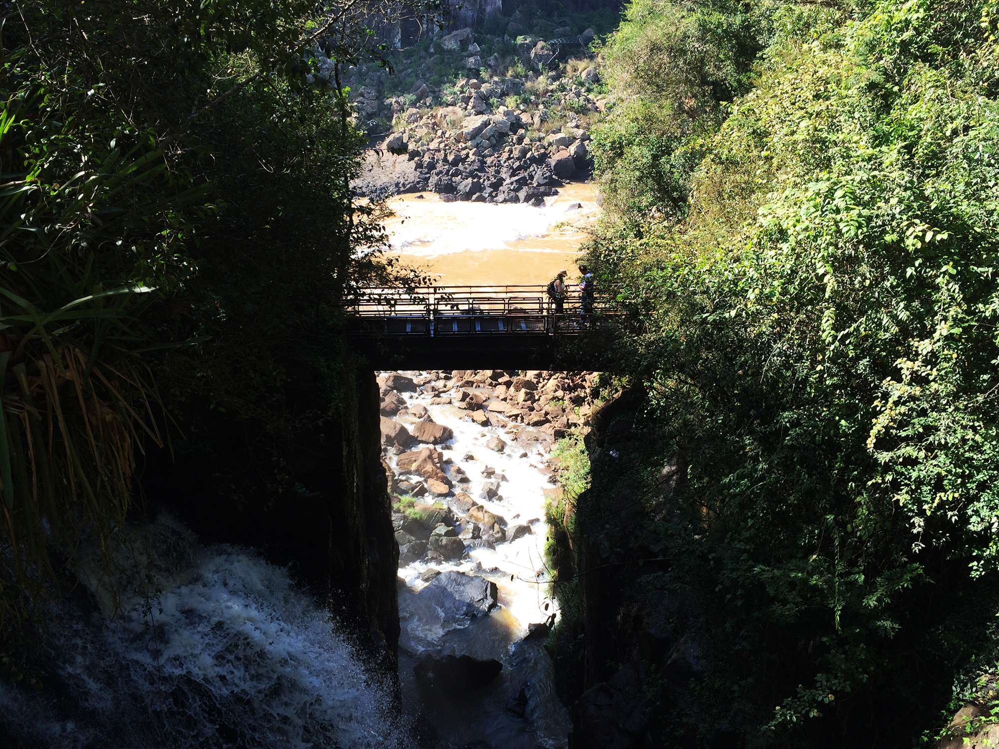 Cataratas lado argentino com guia - Imagen 4
