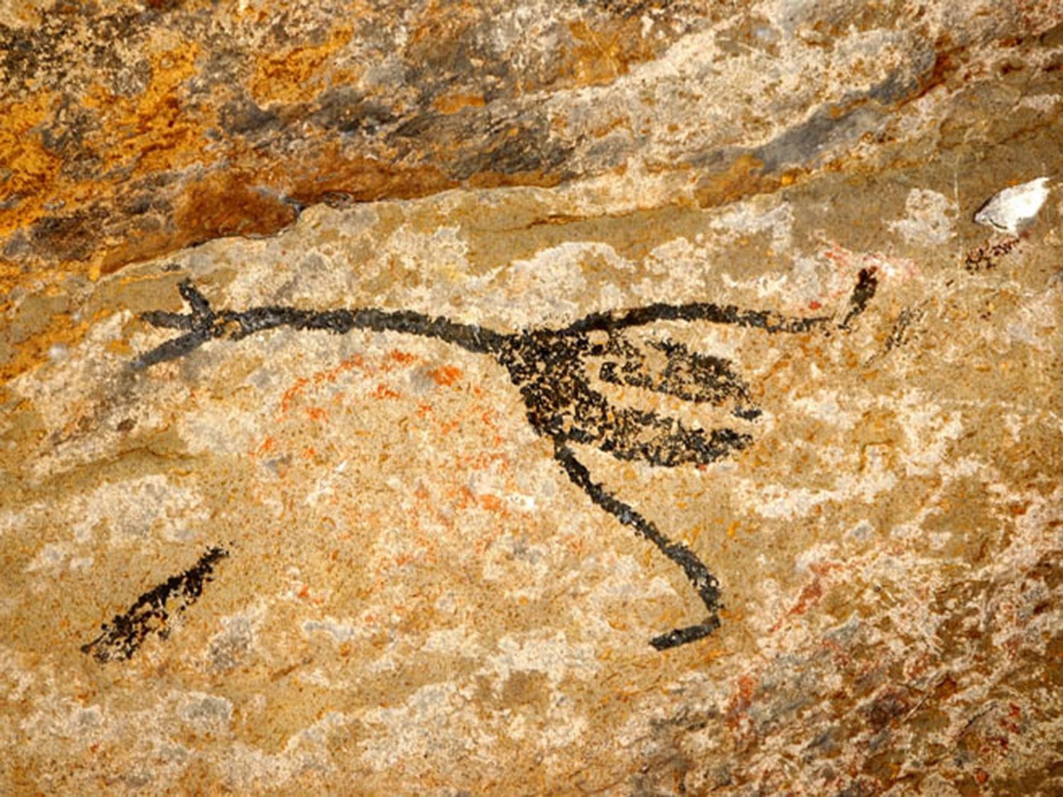 Gruta de Maquiné y Museo Guimarães Rosa - Imagen 4