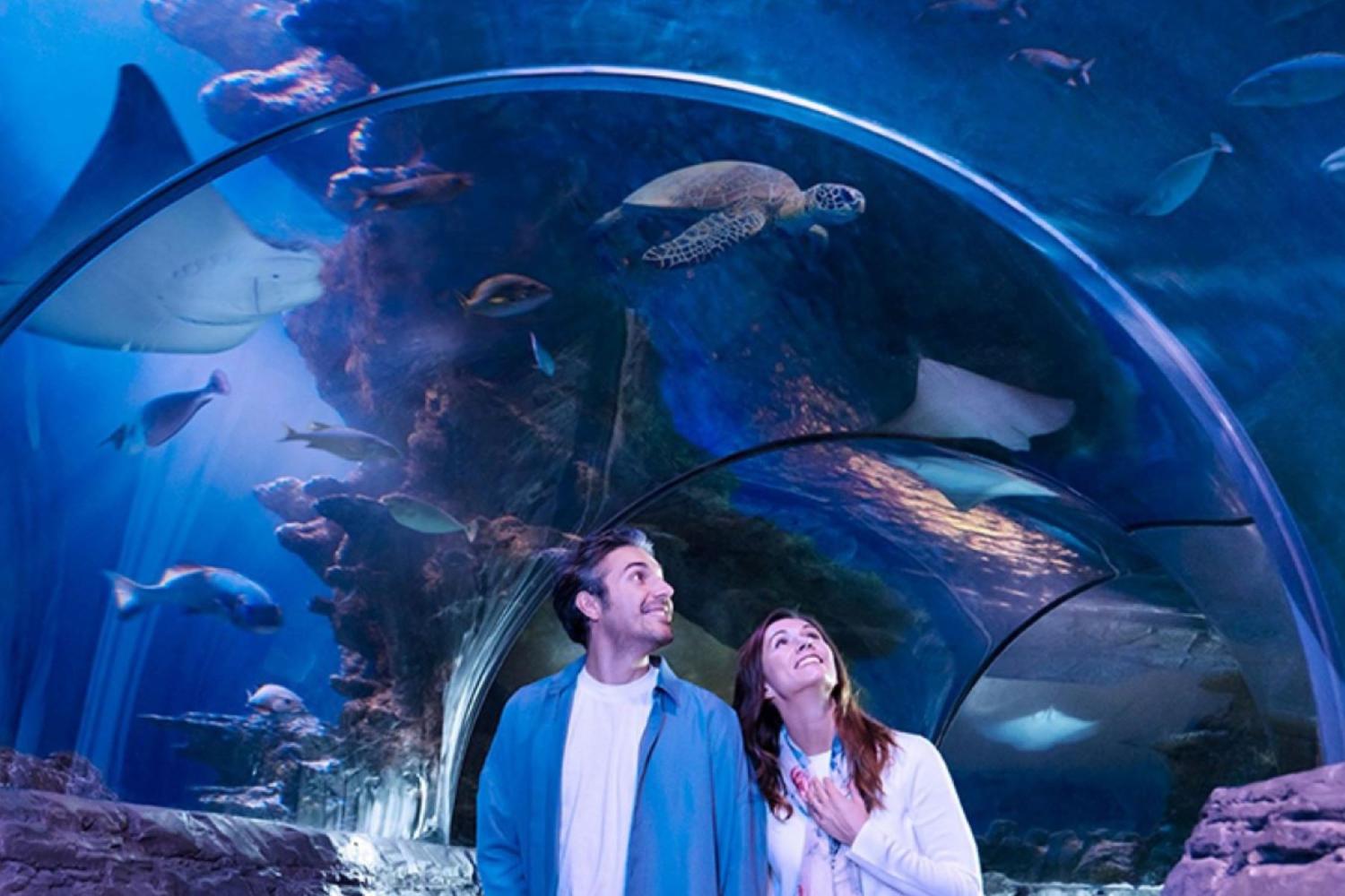 London Flex Pass: Choose 2-7 Attractions - Imagen 3
