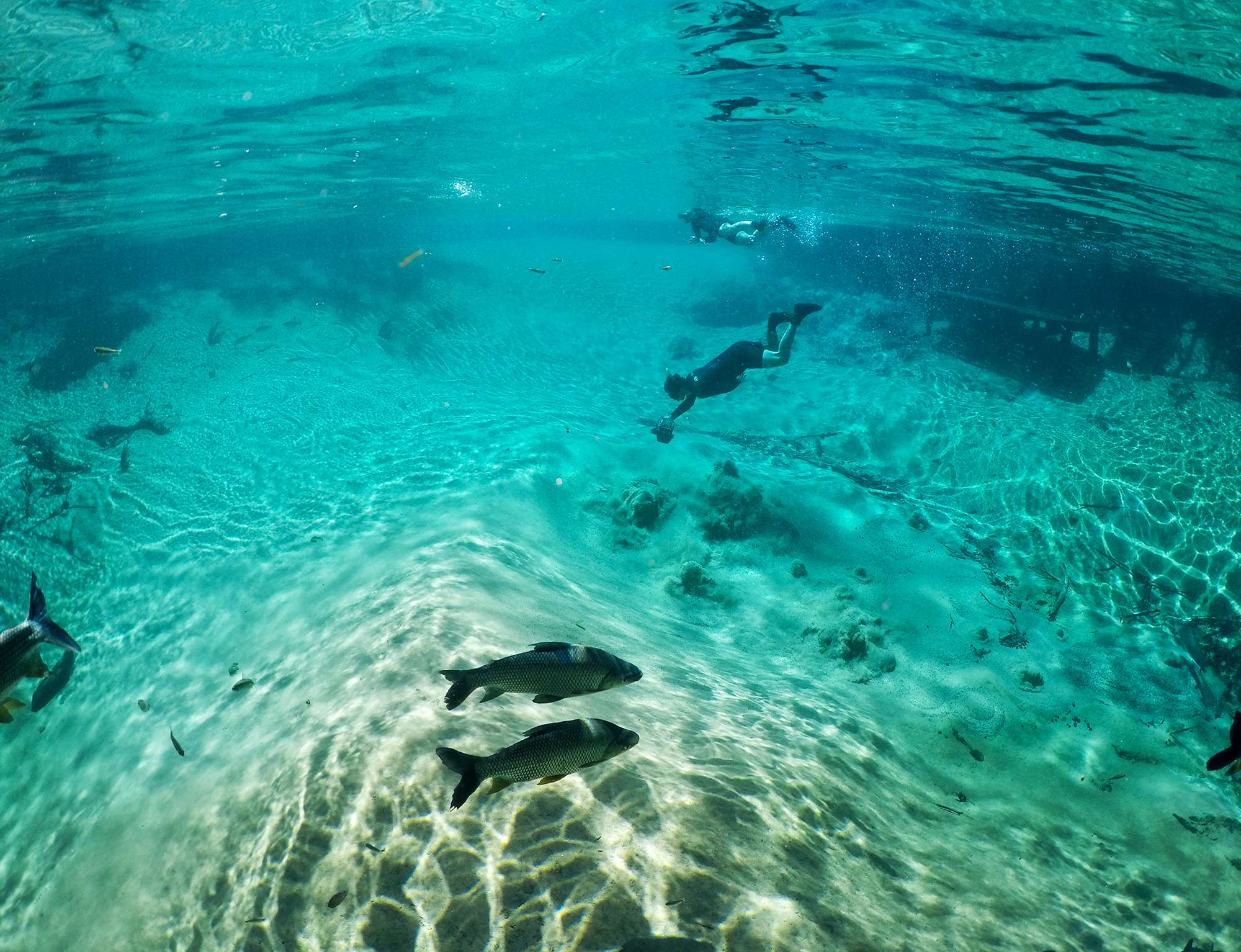 Flotante - Rincón ecológico Rio da Prata - Imagen 4