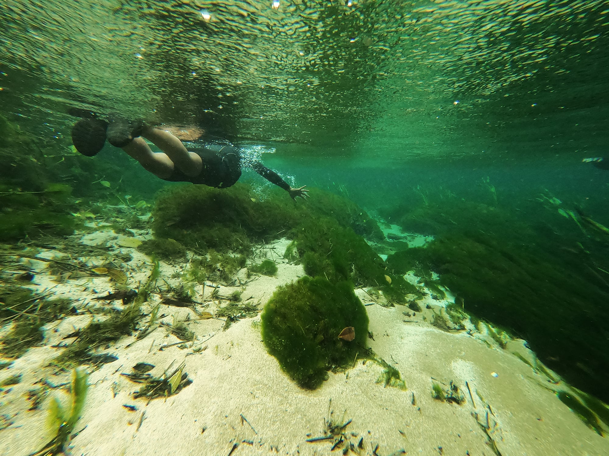 Nacimiento del río Sucuri - Imagen 4