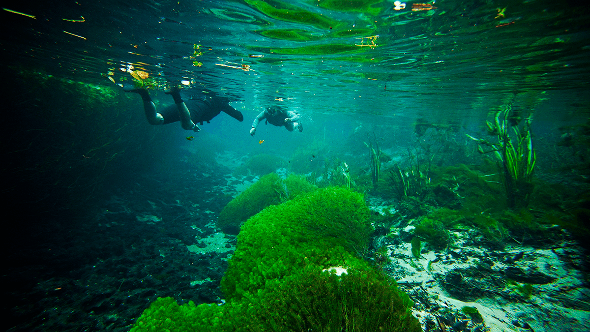 Nacimiento del río Sucuri - Imagen 3